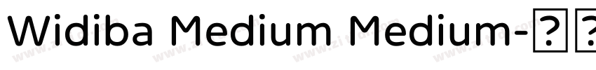 Widiba Medium Medium字体转换 Widiba Medium Medium字体转换
